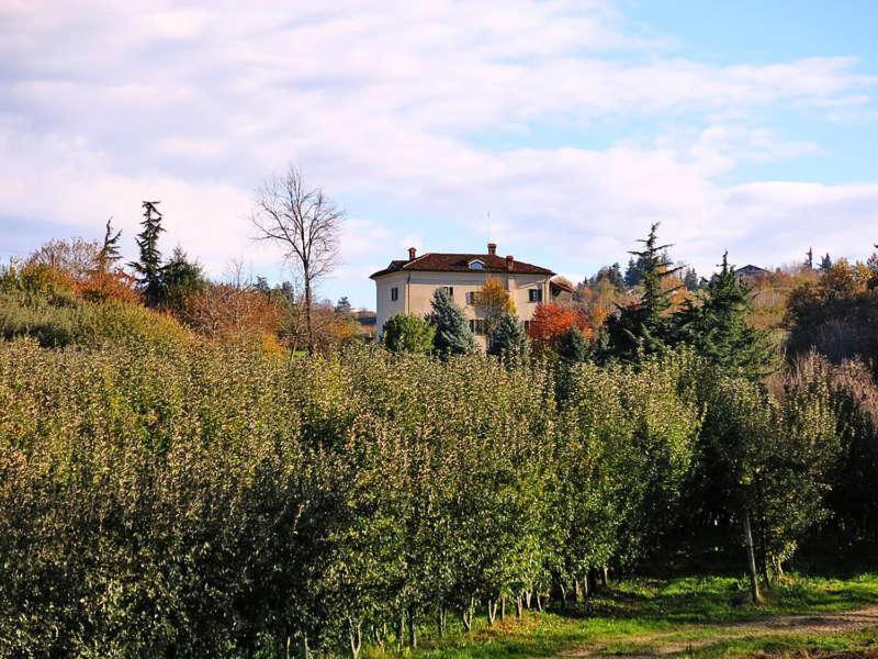 Апартаменты Cascina Bringin Мондови Экстерьер фото